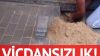 Hamile köpeği yerin altına gömmüşler!