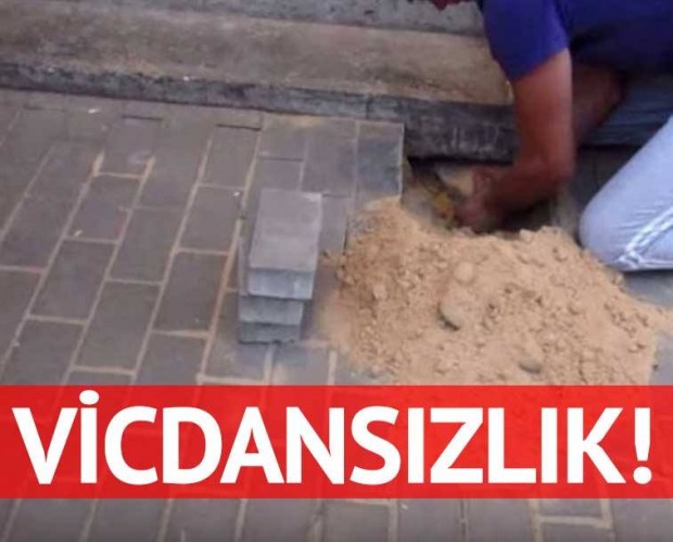 Hamile köpeği yerin altına gömmüşler!