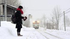 Bu Bomboş Tren Hattının Sadece 1 Yolcusu Var ve Onun İçin Bu Hattı Açık Tutuyorlar!