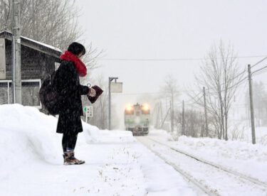 Bu Bomboş Tren Hattının Sadece 1 Yolcusu Var ve Onun İçin Bu Hattı Açık Tutuyorlar!