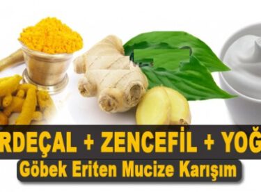 Zencefilli yoğurt ile zayıflama kürü