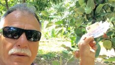 Hamile eşi aşerdi bahçeye girdi meylerden aldı parasını ağaca astı ve bu notu bıraktı