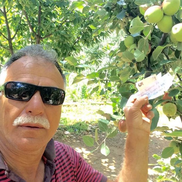 Hamile eşi aşerdi bahçeye girdi meylerden aldı parasını ağaca astı ve bu notu bıraktı