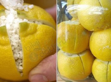 Üzerine Tuz Serpilmiş Limonu Odada Bekletin, Hayatınız değişecek