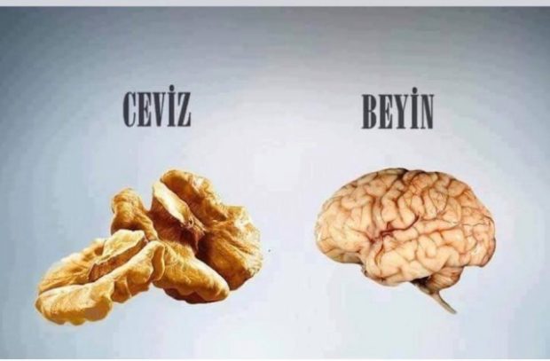 Bu Meyve ve Sebzeler benzedikleri organlara iyi geliyorlar!