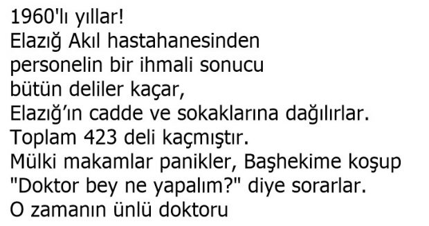 Akıl hastahanesinden kaçan deliler