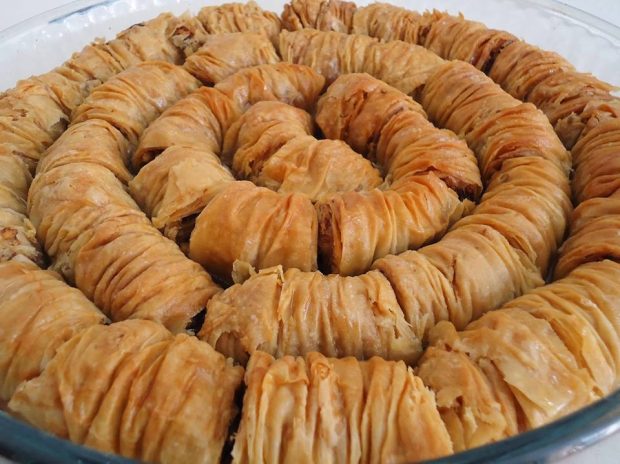 SARIĞI BURMA