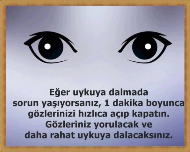 İşte Hayatınızın Her Anını Etkileyecek 15 Hayati Bilgi