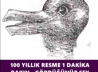 100 YILLIK RESME 1 DAKİKA BAKIN.. GÖRDÜĞÜNÜZ ŞEY ZEKANIZ HAKKINDA……