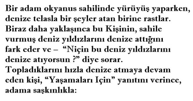 DENİZ YILDIZININ ÖYKÜSÜ