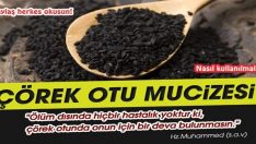 Çörek Otu Yağı Saç Bakımı Ve Faydaları