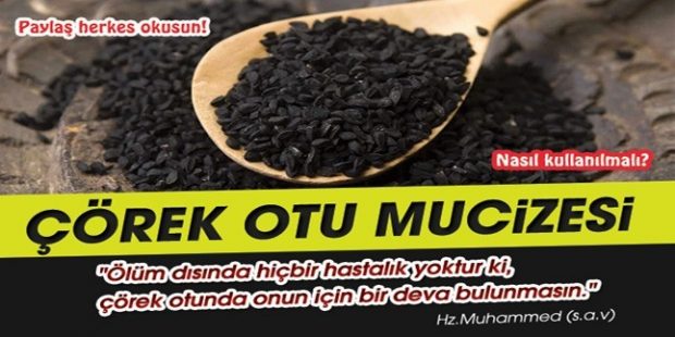 Çörek Otu Yağı Saç Bakımı Ve Faydaları