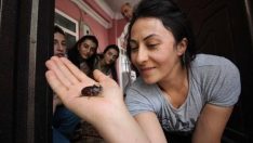 Ev’de buldular, temizlediler. Hakkari’de yaşayan aile, bu böceğe gözleri gibi bakıyor. Nedenini öğrenince siz de hak vereceksiniz