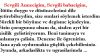 Sevgili Anneciğim, Sevgili babacığım