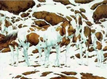 Bu resimde 7 tane at görüyorsan süper zekisin demektir, siz kaç tane at görüyorsunuz ?