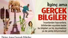 İlginç Ama Gerçek Bilgiler