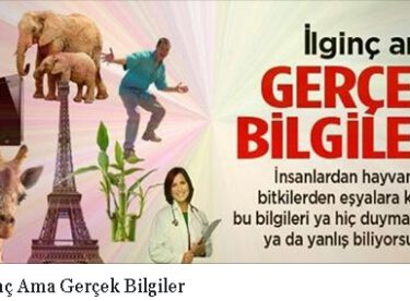 İlginç Ama Gerçek Bilgiler