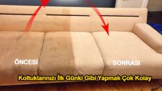 Amonyak İle Evde Koltuklarınızı Temizleme Yöntemi