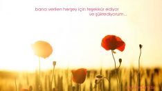 En Güzel Olumlama Cümleleri (mutluluk)