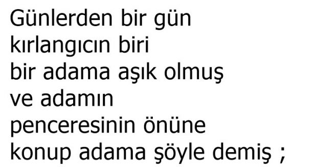Geç Kalmayın Her Şey Zamanında Güzel