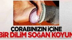Soğan Diliminin Mucizevi Etkisi