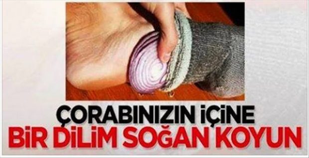 Soğan Diliminin Mucizevi Etkisi