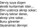 Derviş ve Akrep