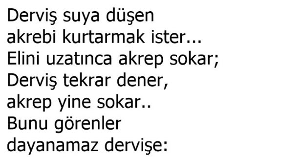 Derviş ve Akrep