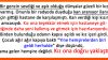 Bir Aşk Hikayesi