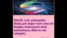 Burçların en önemli özellikleri