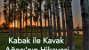 Kavak Ağacı ile Kabak