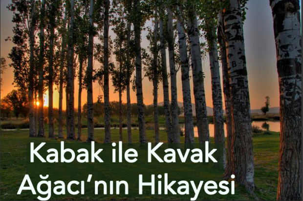 Kavak Ağacı ile Kabak