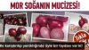 Mor Soğan ve Süt Karışımı Mucizesi