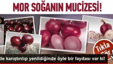 Mor Soğan ve Süt Karışımı Mucizesi