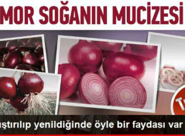 Mor Soğan ve Süt Karışımı Mucizesi