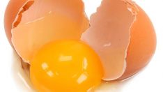 Yumurta hakkında bilmediğiniz çok şey var!