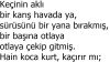 Kurt ve Keçi