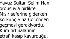 Biz Nasıl At Üstünde Olalım