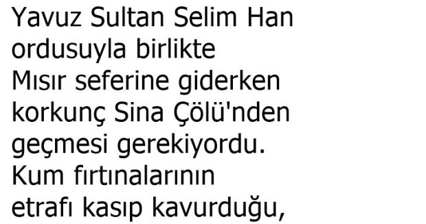 Biz Nasıl At Üstünde Olalım