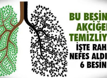 AKCİĞERLERİMİZİ TEMİZLEYEN 6 MUCİZEVİ BİTKİ