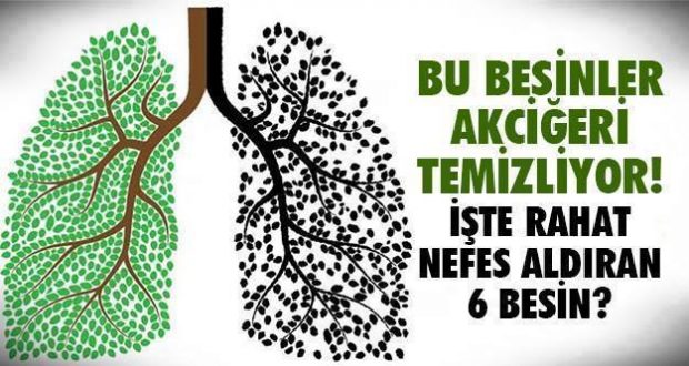 AKCİĞERLERİMİZİ TEMİZLEYEN 6 MUCİZEVİ BİTKİ