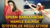 9 Yıl Önce Amerika’ya gidip sperm bankasından sperm alıp hamile kaldı şimdi çocuğu 9 yaşında