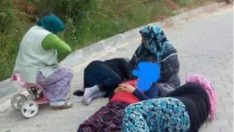 Toplum Olarak Çıldırdığımızı Gösteren 9 Görsel