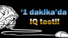 1 dk da IQ testi!