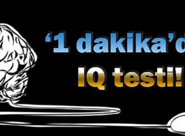 1 dk da IQ testi!