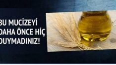 Daha Önce Hiç Duymadığınız Buğday Yağının Faydaları Nelerdir?