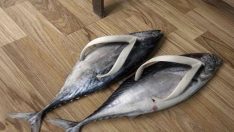 Moda diye sunulan ama tutmayan bu kadar da olmaz dedirtecek 20 tasarım