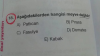 Hangisi meyve değildir?