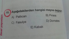 Hangisi meyve değildir?