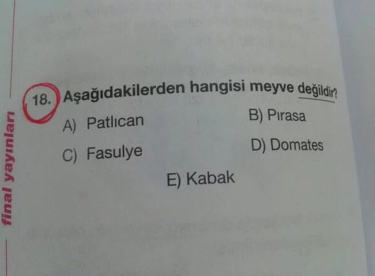 Hangisi meyve değildir?